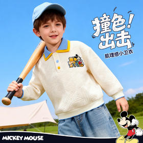 迪士尼男童翻领长袖卫衣XD3DS004