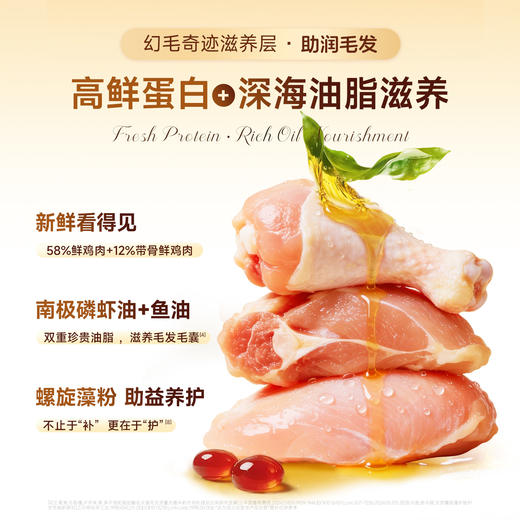 【新品】鎏金鱼油烘焙猫粮 70%高鲜肉 90℃低温烘焙  实测35天助美毛 King45益生菌专利助美毛  双重珍贵油脂 滋养毛发毛囊 商品图3