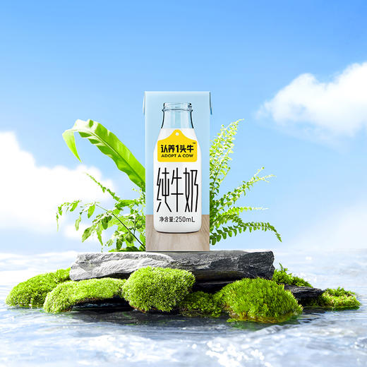 认养一头牛 纯奶250ml×12(利乐砖） 商品图3