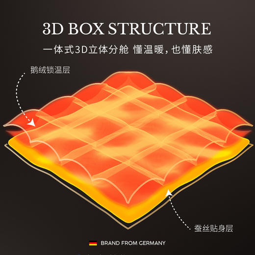品牌直发 irisette 羽绒蚕丝复合被2.0 商品图5