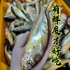 【纯野生 3袋装】舟选 舟山小黄鱼 低脂高蛋白 源头直供 纯野生 码头直达 肉多刺少 肉质细腻 500g*3袋 商品缩略图7