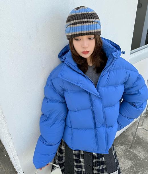 波司登同款三防同里同料时尚小龟背白鹅绒羽绒服 商品图7