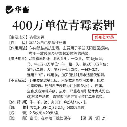 华畜 400万注射用青霉素钾20支 猪丹毒 产后保健 商品图3