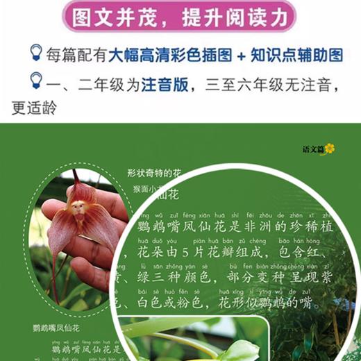 【2026新版上下册】新教材里的大百科同步教材一二三四五六年级 商品图3