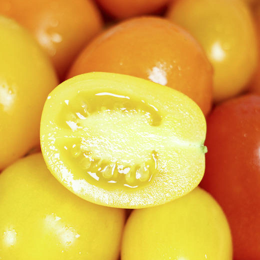 【广东好物】多彩香芒小番茄  2斤/3斤 商品图5