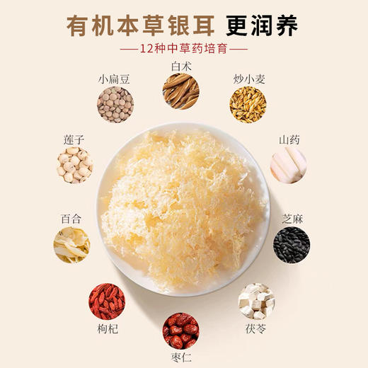 严选 | 鲜珥家有机本草银耳年货礼盒 本草银耳80g*2罐+大焖烧壶500ml 商品图3