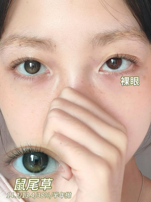 mixmixx半年抛 鼠尾草 绿色 14.2mm 经典爆款回归！！ 商品图4