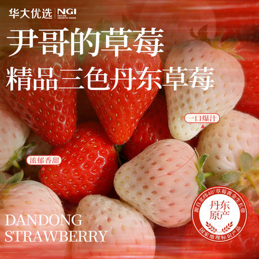 尹哥的草莓 精品丹东三色草莓 商品图0