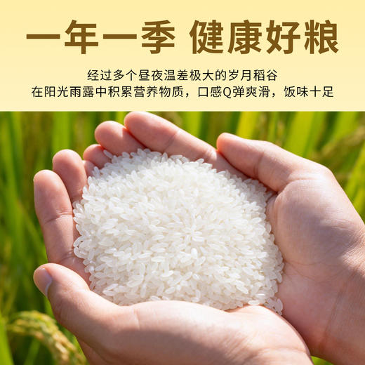 福临门寒地大米5kg东北大米粥米寿司米10斤家庭装 商品图4