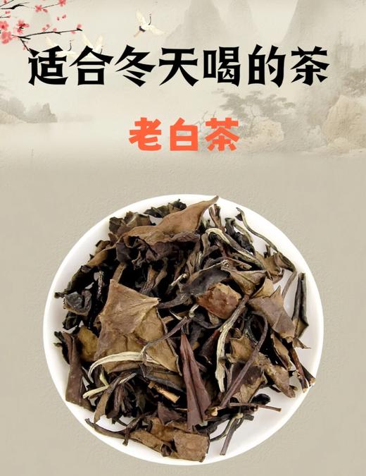【强韵CCTV展播品牌】马年限定老白茶礼盒【爆仓3-5发货】 商品图10