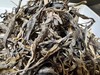 2025春  曼松贡茶 生普洱 50克起 商品缩略图1