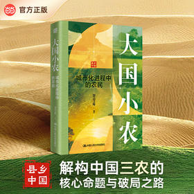 大国小农：城市化进程中的农民