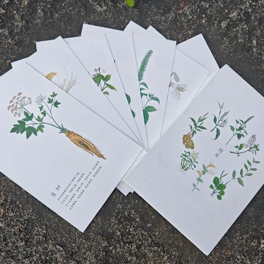 【问安原创】手绘药用植物明信片 商品图3