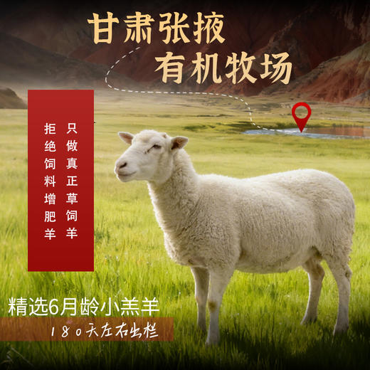 金陇雪有机羔羊去骨腿肉 羊肉卷火锅聚会食材 商品图2