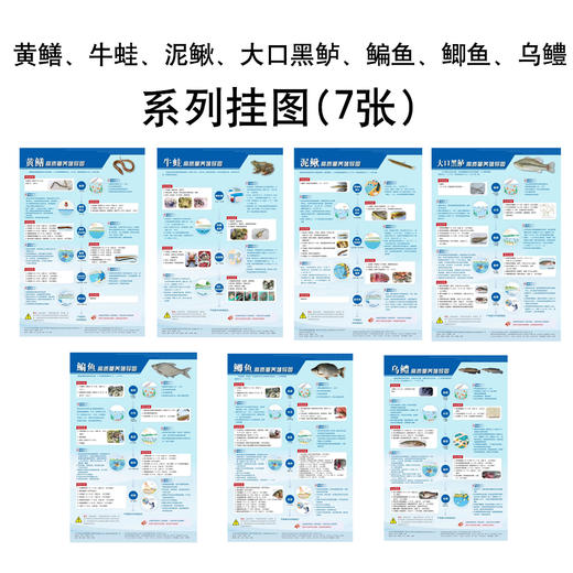 重点水产品种高质量养殖导图（全7册） 商品图0