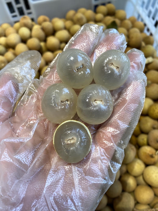 【宏丰精选】泰国龙眼  核小肉厚  口感甜   活动价15.8元一斤 商品图10