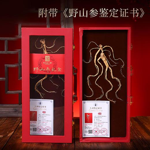 【长白山人参】秋冬养身 元气之选，源自长白山 道地品质，日常保养好精神，生晒参 红参 林下参 均送礼袋 商品图8