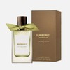 BURBERRY博柏利 高定系列-山楂花 Burberry Hawthorn Bloom  小样/正装 商品缩略图1