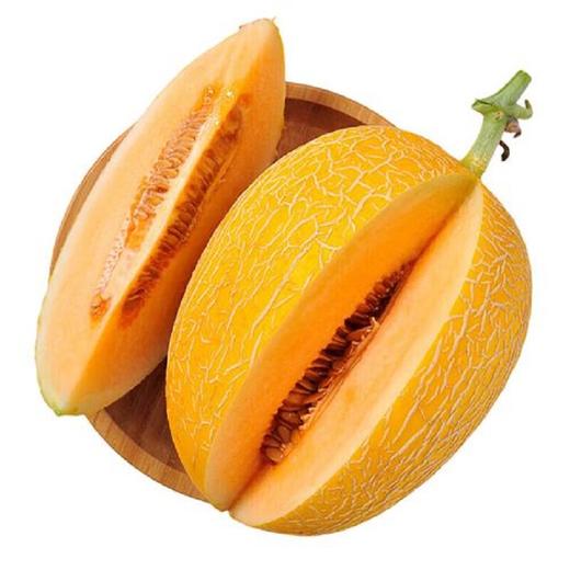 海南黄金蜜瓜 商品图1