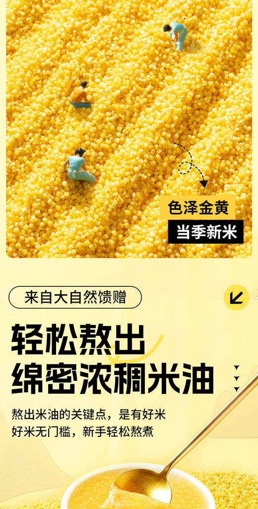 【金皇会员45金币专享】赤川敖汉黄小米5斤 25年新米金苗K1 内蒙古赤峰小米粥杂粮粥黄小米 商品图4
