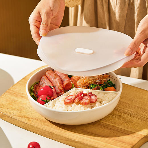 摩登主妇陶瓷三分格蒸盘电饭锅蒸笼家用减脂盘子宝宝儿童辅食餐盘 商品图2