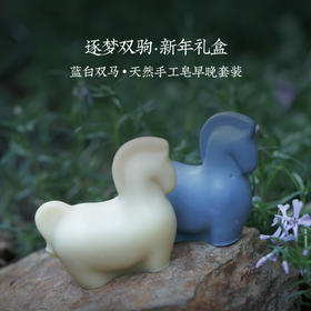 逐梦双驹 新年 早晚清洁礼盒