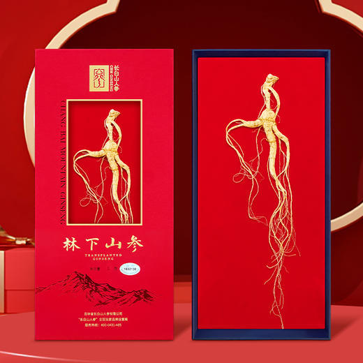 【长白山人参】秋冬养身 元气之选，源自长白山 道地品质，日常保养好精神，生晒参 红参 林下参 均送礼袋 商品图5