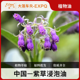 紫草浸泡油 中国新疆原料批发 美容院按摩植物油基础油批发