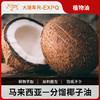 分馏椰子油 马来西亚进口植物油原料批发芳疗 Coconut 大篷车精油 商品缩略图0