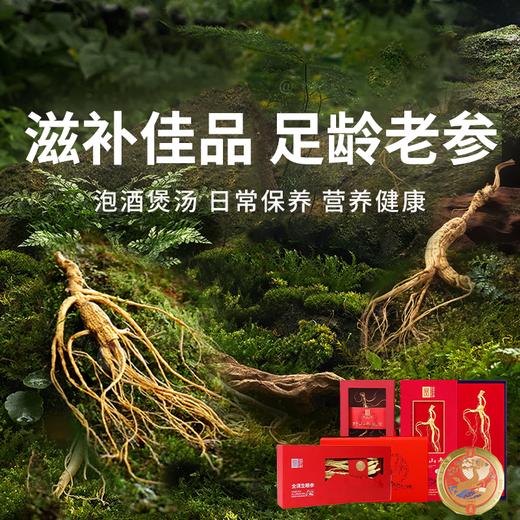 【长白山人参】秋冬养身 元气之选，源自长白山 道地品质，日常保养好精神，生晒参 红参 林下参 均送礼袋 商品图0