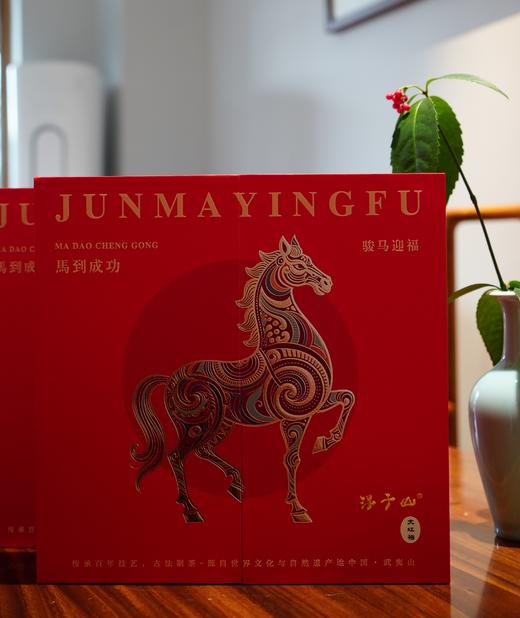 茶厂直供 | 武夷岩茶•大红袍 香气浓郁 滋味醇厚 250g起江浙沪包邮 商品图7