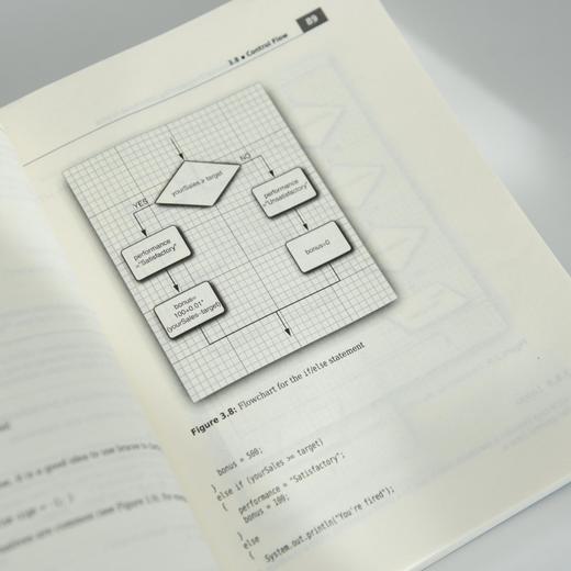 Java核心技术卷I基础知识第13版英文版 Java21教程书籍 Java教材 程序员入门进阶* 高校计算机教材 商品图4
