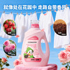 【联名款】传化x自在熊猫传化花园香氛洗衣液2kg 商品缩略图4