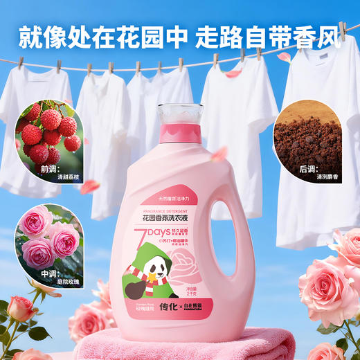【联名款】传化x自在熊猫传化花园香氛洗衣液2kg 商品图4