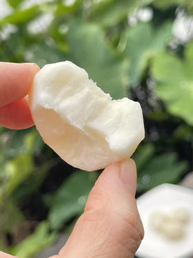 空运✈️水果马蹄
生吃是水果，熟吃是良yao，具有清热下火、清热除燥、润肺zhike等功效，脆甜多汁，被称为“润燥之果”
一箱净果4斤