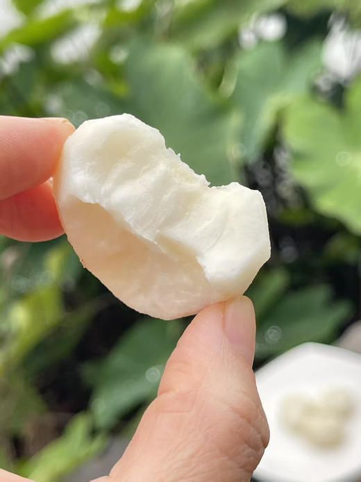 空运✈️水果马蹄
生吃是水果，熟吃是良yao，具有清热下火、清热除燥、润肺zhike等功效，脆甜多汁，被称为“润燥之果”
一箱净果4斤 商品图0