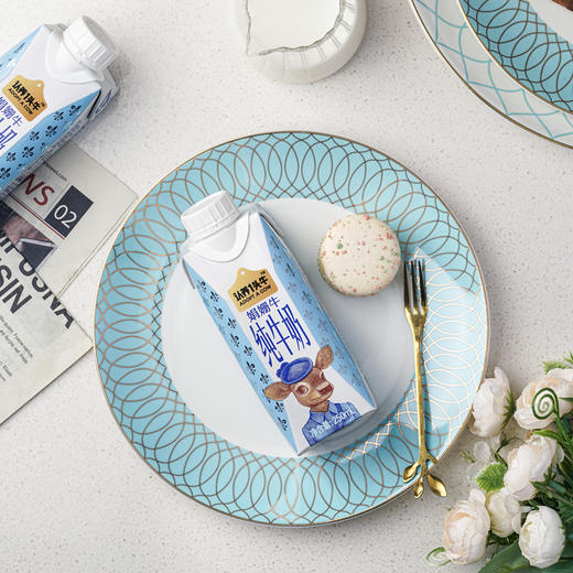 认养一头牛 娟姗纯牛奶250ml×10 商品图1