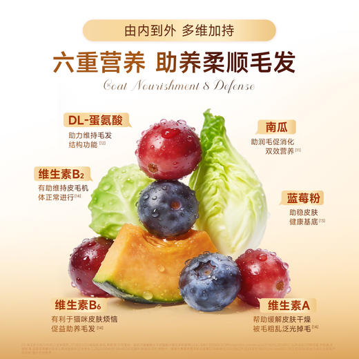 【新品】鎏金鱼油烘焙猫粮 70%高鲜肉 90℃低温烘焙  实测35天助美毛 King45益生菌专利助美毛  双重珍贵油脂 滋养毛发毛囊 商品图1