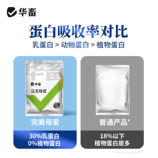 华畜兽用 完美母爱500g 30%乳蛋白奶粉 高利用度更省钱 商品图1