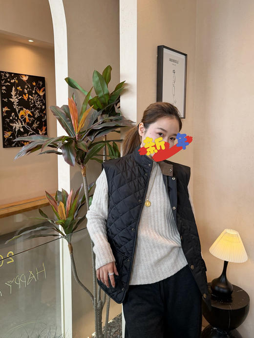 男女通穿|贝克汉姆同款B*rbour 男士绅士立领马甲 商品图3