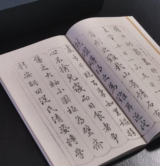 【重磅推荐】《十竹斋书画谱》，全16册，蝴蝶装，247*145mm，[明]胡正言辑，崇文书局2025年一版一印，定价3880，售价2288元。 商品图6