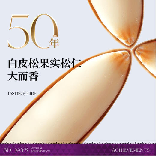 觅菓A+级晚松阿富汗大手剥松子238g*2罐  MG 商品图2