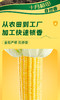 【金皇会员49金币专享】十月稻田 黄甜糯玉米 8根 3.52斤 真空包装 东北粘玉米棒 低脂早餐 商品缩略图4