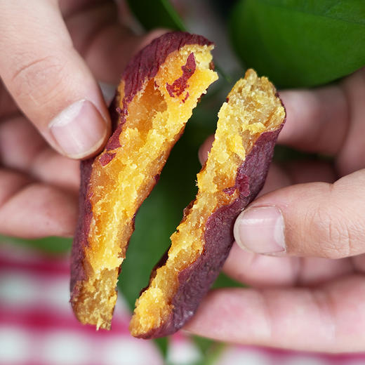 红瑶薯干 无任何添加 倒蒸 香甜软糯 自制地瓜干红薯干 即食100g 休闲零食 4份包邮 商品图2