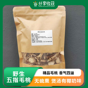 野生五指毛桃 | 精品毛桃 香气四溢｜合作生产 * Wild five-fingered Peach