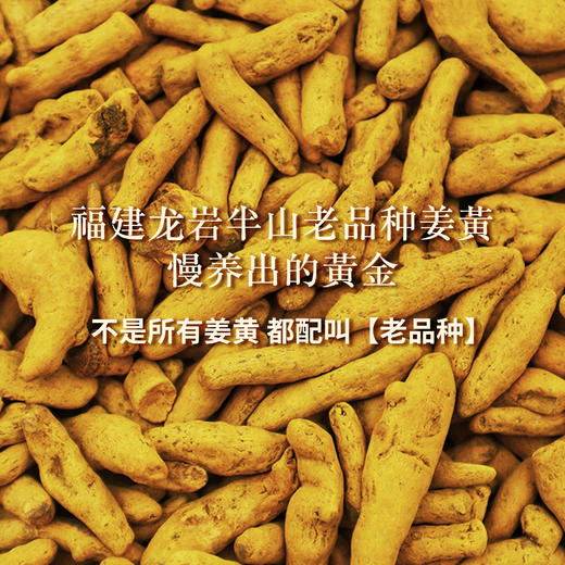 姜黄植物奶 | 510g/罐 有机姜黄粉 黑胡椒粉 椰子油粉 早餐豆浆 她念她乡 商品图4