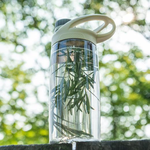 6944662548484 乐扣乐扣Lock&Lock 大容量便携学生水杯三爪鱼手提运动塑料水杯男女夏学出游必备 商品图2