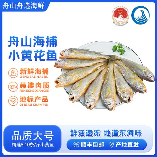 【纯野生 3袋装】舟选 舟山小黄鱼 低脂高蛋白 源头直供 纯野生 码头直达 肉多刺少 肉质细腻 500g*3袋 商品图8