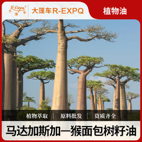 猴面包树籽油 Baobab Carrier 马达加斯加原料进口批发按摩基础油