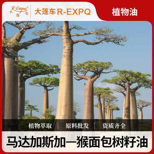 猴面包树籽油 Baobab Carrier 马达加斯加原料进口批发按摩基础油 商品图0
